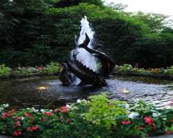 You can also admire a number of bronze statues located in the gardens. One of them is Wild boar which was brought to the place in 1973 and was cast by